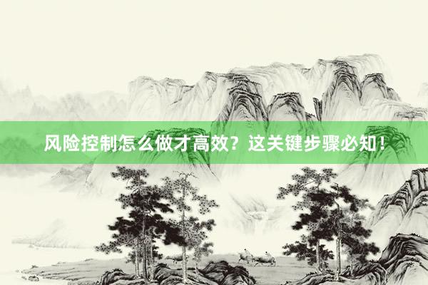 风险控制怎么做才高效？这关键步骤必知！