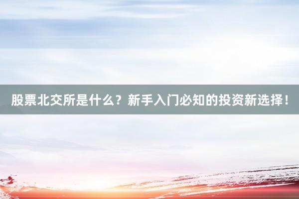 股票北交所是什么？新手入门必知的投资新选择！