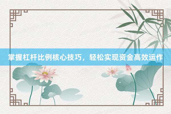 掌握杠杆比例核心技巧，轻松实现资金高效运作