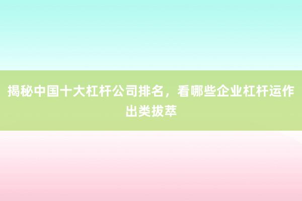 揭秘中国十大杠杆公司排名,看哪些企业杠杆运作出类拔萃