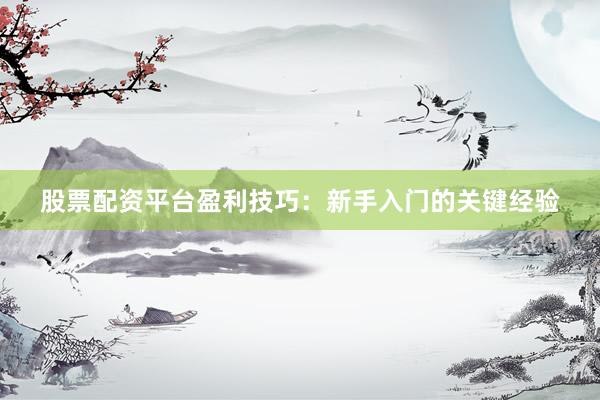 股票配资平台盈利技巧:新手入门的关键经验
