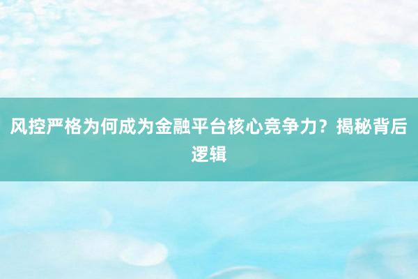 风控严格为何成为金融平台核心竞争力？揭秘背后逻辑