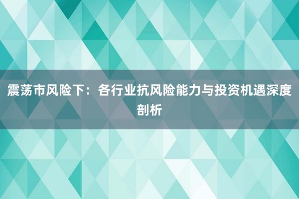 震荡市风险下：各行业抗风险能力与投资机遇深度剖析