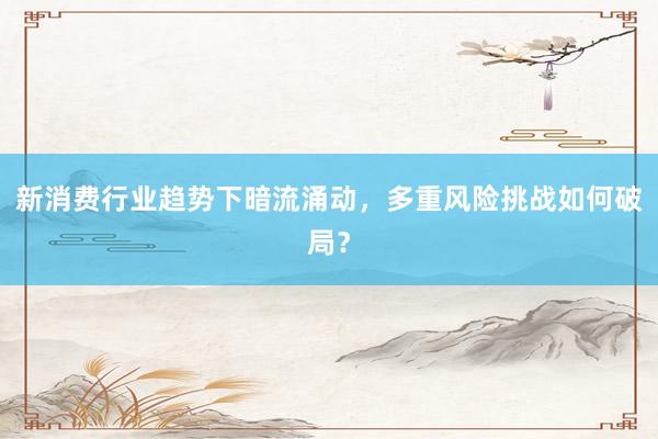 新消费行业趋势下暗流涌动，多重风险挑战如何破局？