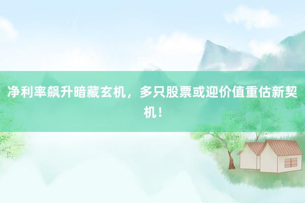 净利率飙升暗藏玄机，多只股票或迎价值重估新契机！