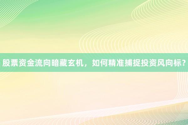 股票资金流向暗藏玄机，如何精准捕捉投资风向标？