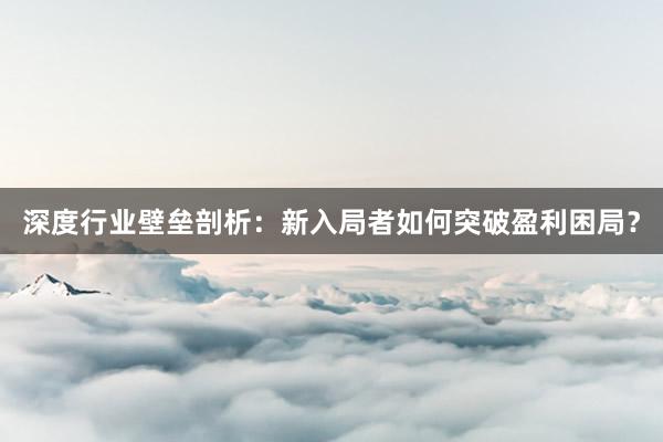 深度行业壁垒剖析：新入局者如何突破盈利困局？