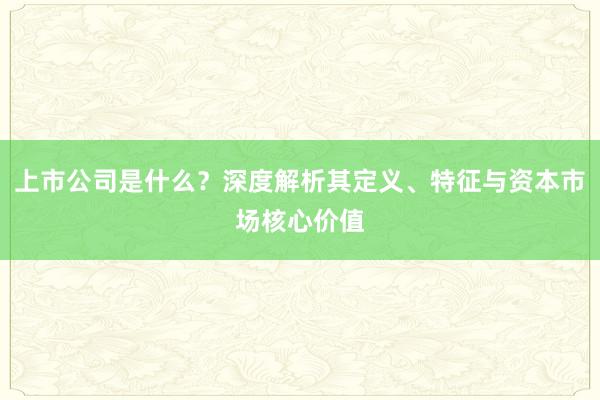 上市公司是什么？深度解析其定义、特征与资本市场核心价值