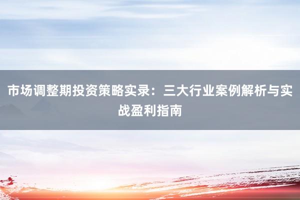 市场调整期投资策略实录：三大行业案例解析与实战盈利指南