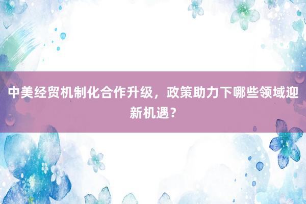 中美经贸机制化合作升级，政策助力下哪些领域迎新机遇？