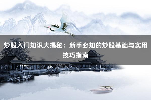 炒股入门知识大揭秘：新手必知的炒股基础与实用技巧指南