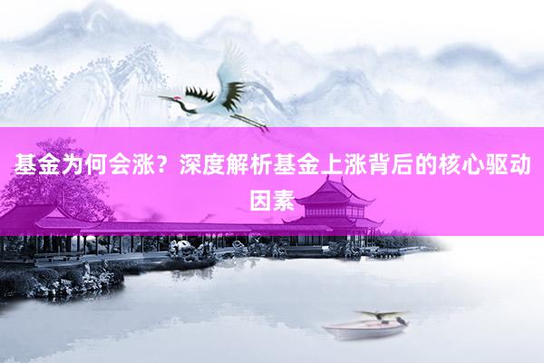 基金为何会涨?深度解析基金上涨背后的核心驱动因素