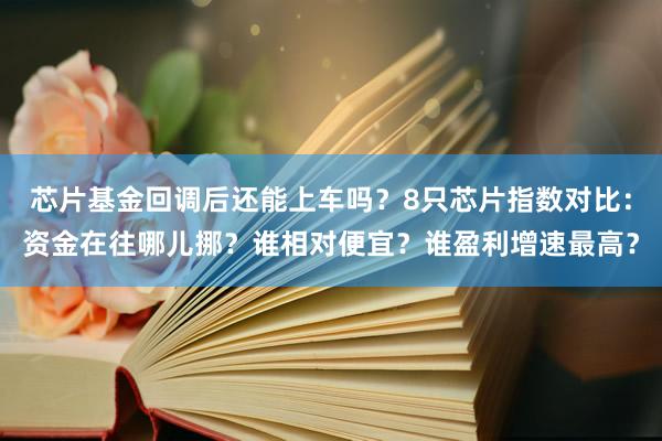 芯片基金回调后还能上车吗？8只芯片指数对比：资金在往哪儿挪？谁相对便宜？谁盈利增速最高？