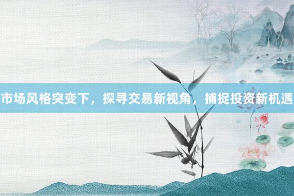 市场风格突变下,探寻交易新视角,捕捉投资新机遇